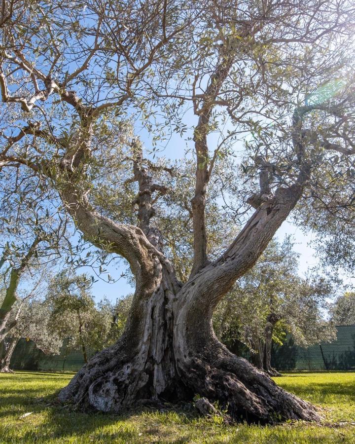 Il Bottaccio Casa Di Campagna Venturina Terme Exterior foto