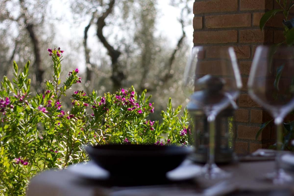 Il Bottaccio Casa Di Campagna Venturina Terme Exterior foto