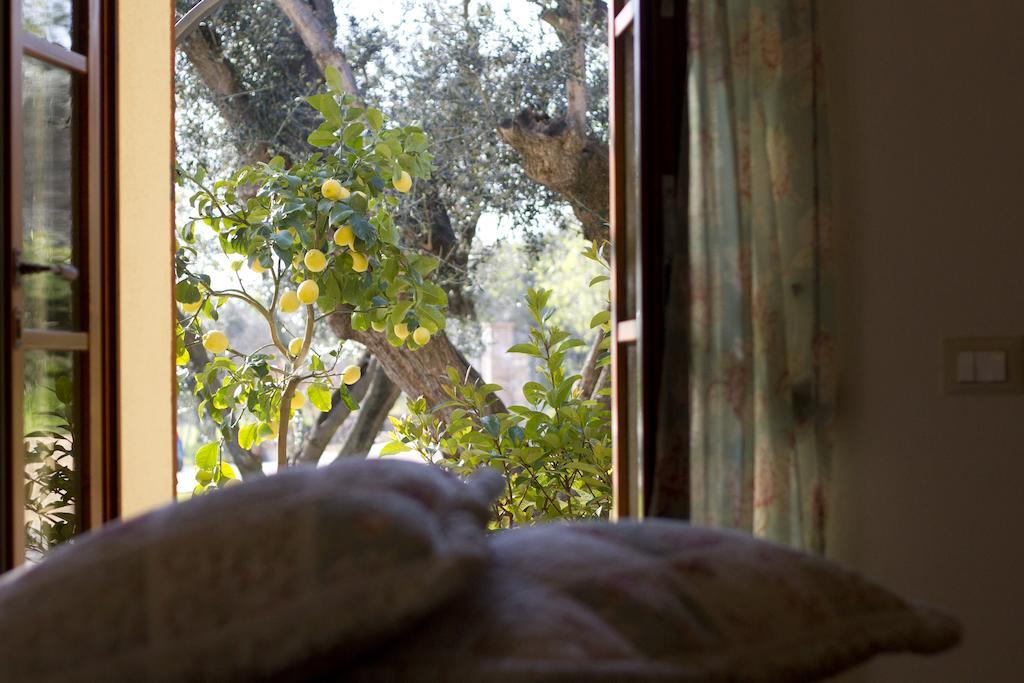 Il Bottaccio Casa Di Campagna Venturina Terme Habitación foto
